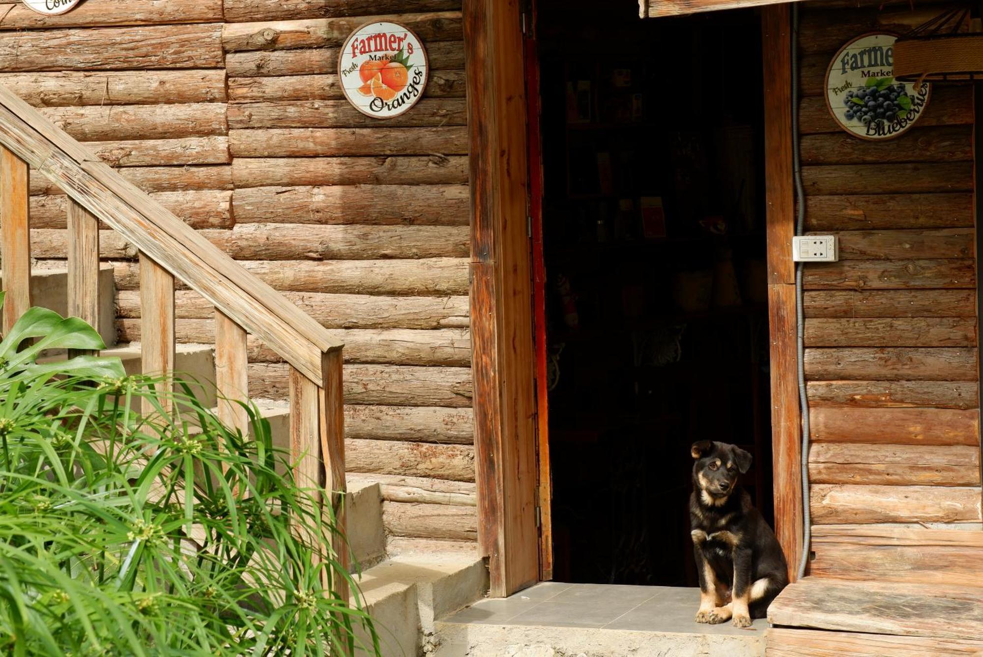 Ta Phin Cottage Sapa Exteriör bild